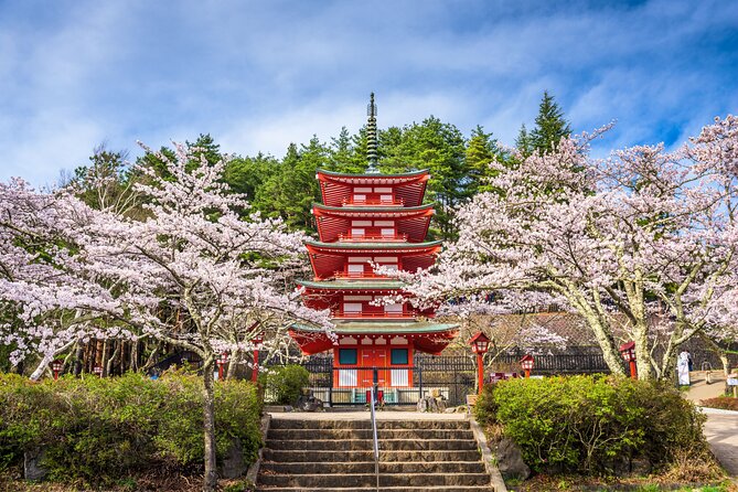 Mt. Fuji Highlight Photo Spots One Day Tour from Tokyo - Oishi Park pairs flowers with the mountain