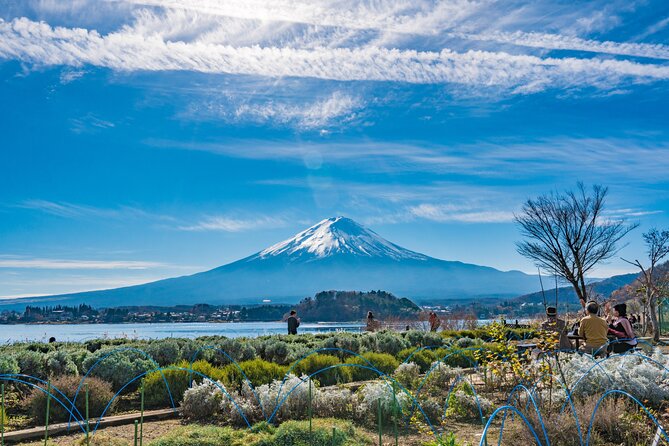 Mt. Fuji Highlight Photo Spots One Day Tour from Tokyo - Shiraito Waterfall adds a change of pace
