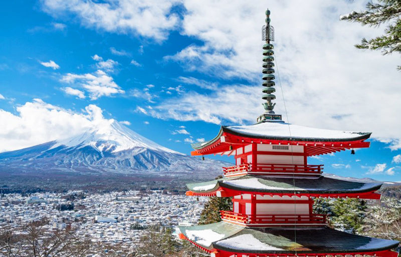 Mt. Fuji Instagram-Worthy Spots Day Tour: Ladder Town, Oshino Hakkai, Lake Kawaguchi, Lawson Convenience Store (Departing from Tokyo Station or Shinjuku Station) - Arakurayama Sengen Park and the 397 steps