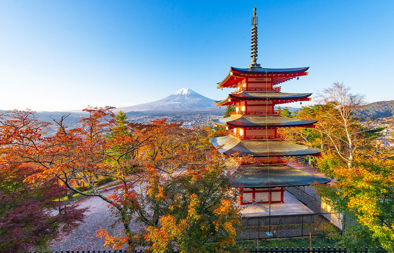 Mt. Fuji Instagram-Worthy Spots Day Tour: Ladder Town, Oshino Hakkai, Lake Kawaguchi, Lawson Convenience Store (Departing from Tokyo Station or Shinjuku Station) - Hikawa Clock Shop and a street aimed at Fuji