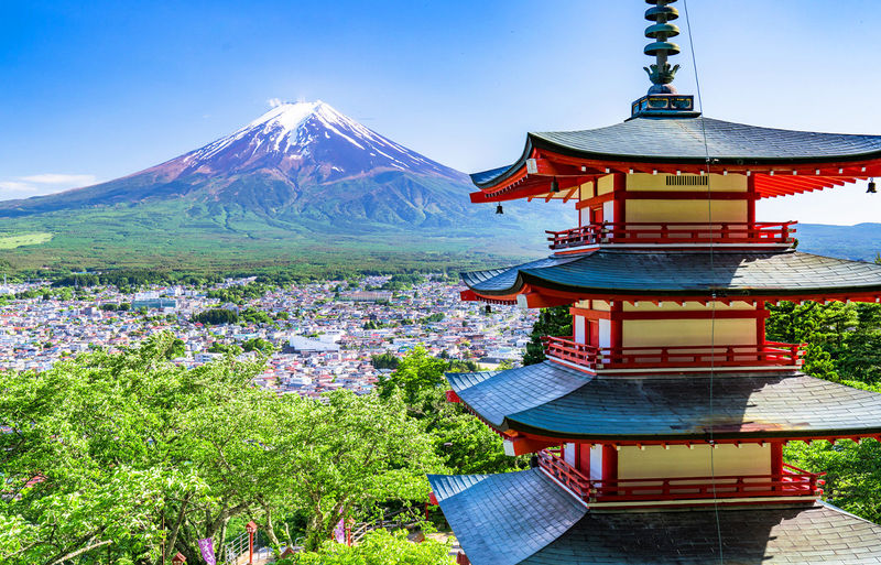 Mt. Fuji Instagram-Worthy Spots Day Tour: Ladder Town, Oshino Hakkai, Lake Kawaguchi, Lawson Convenience Store (Departing from Tokyo Station or Shinjuku Station) - Lunch and the spring ponds at Oshino Hakkai