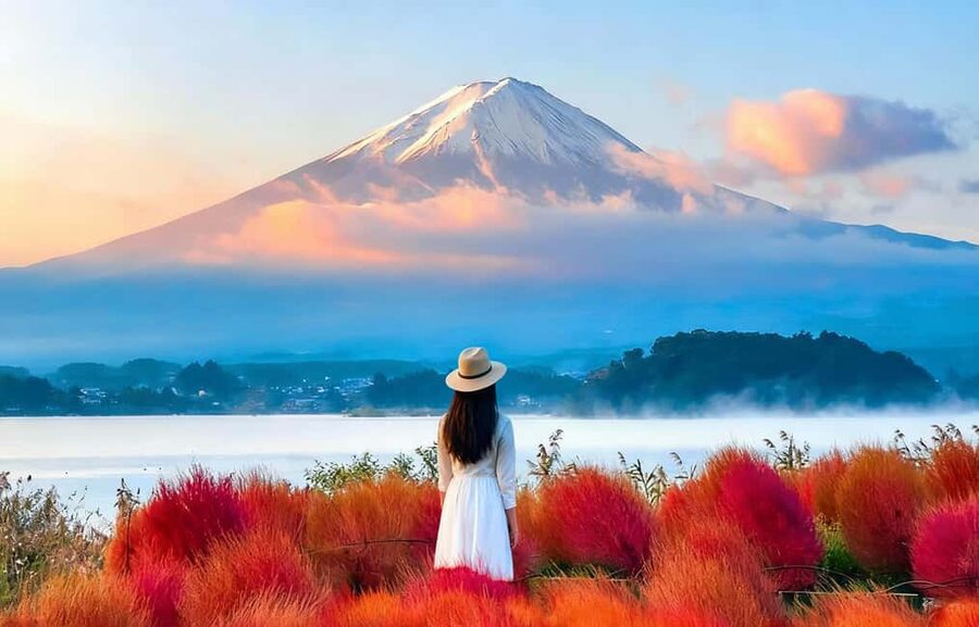 Mt. Fuji & Lake Kawaguchiko Ropeway Panorama Full-Day Tour - Key points at a glance