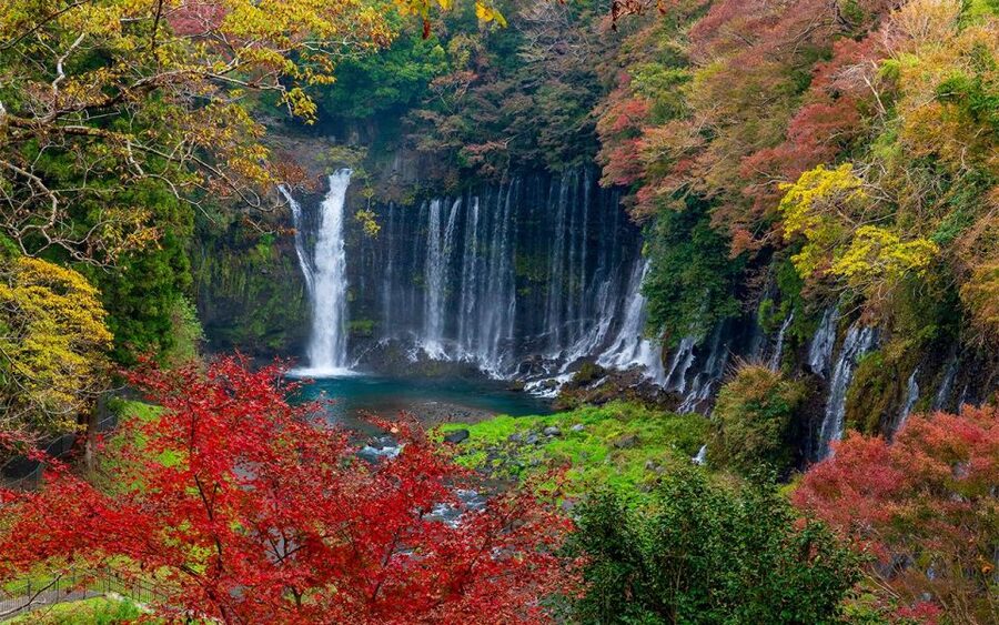 Mt Fuji : Private 10-Hour Luxury Tour by Exclusive Car - Why a private car makes sense for Mt. Fuji
