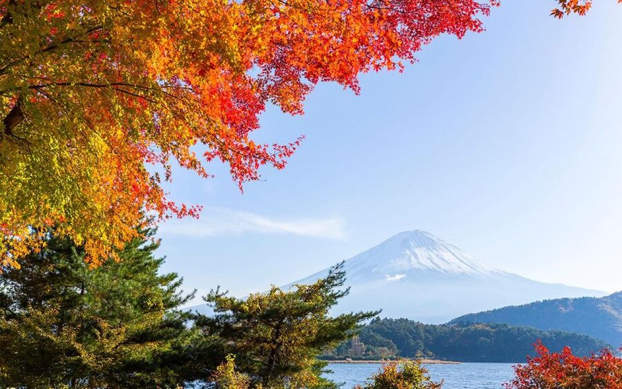 Mt Fuji : Private 10-Hour Luxury Tour by Exclusive Car - Shiraito Falls for a quieter change of pace