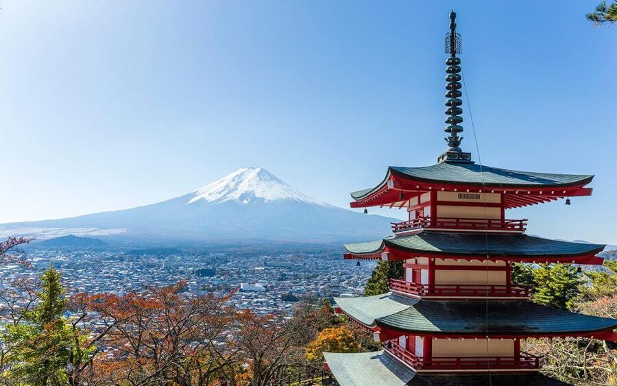 Mt Fuji : Private 10-Hour Luxury Tour by Exclusive Car - What the Toyota Alphard is really worth