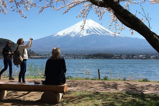 Mt Fuji Private Day Tour from Tokyo with English Speaking Driver - Key points to know before booking