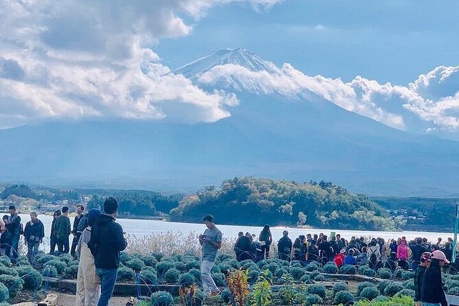 Mt Fuji Private Day Tour from Tokyo with English Speaking Driver - Arakurayama Sengen Park and Chureito Pagoda