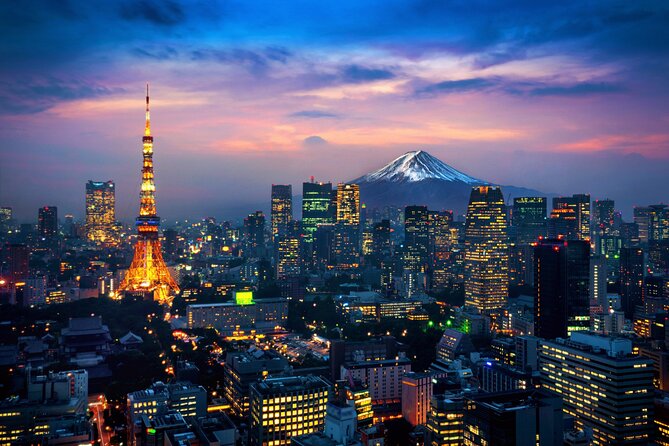 Mt Fuji Private Day Tour from Tokyo with English Speaking Driver - What the $499 group price really buys