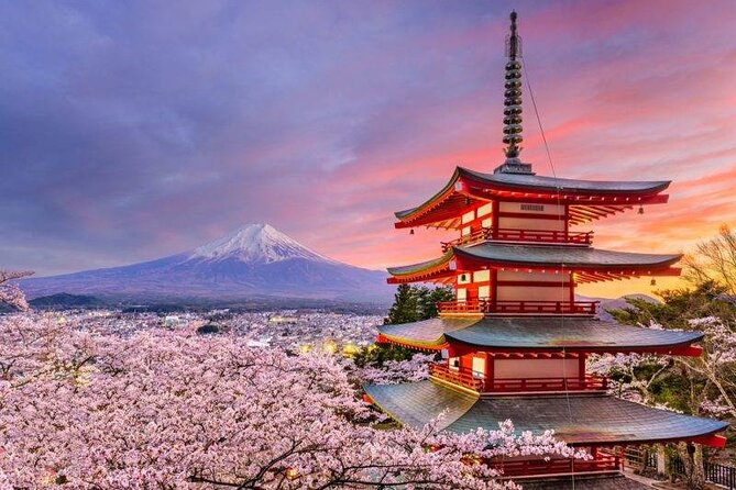 Mt. Fuji Private Tour with English Speaking Driver - Mt. Fuji Subaru Line 5th Station at 2,200 meters