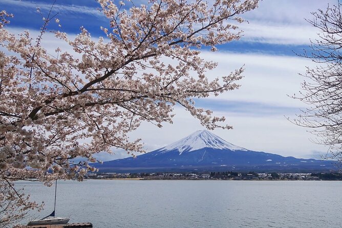 Mt. Fuji Private Tour with English Speaking Driver - Two hours around Lake Kawaguchiko