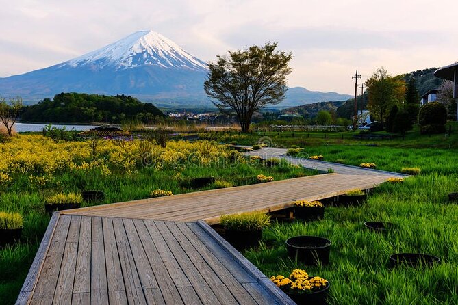 Mt. Fuji Private Tour with English Speaking Driver - Oishi Park’s flowers and open lake views