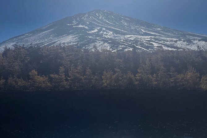 Mt. Fuji Private Tour with English Speaking Driver - Oshino Hakkai and Fuji’s clear spring water