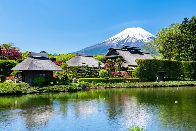 Mt. Fuji Private Tour with English Speaking Driver - What the driver adds, and where the service can vary