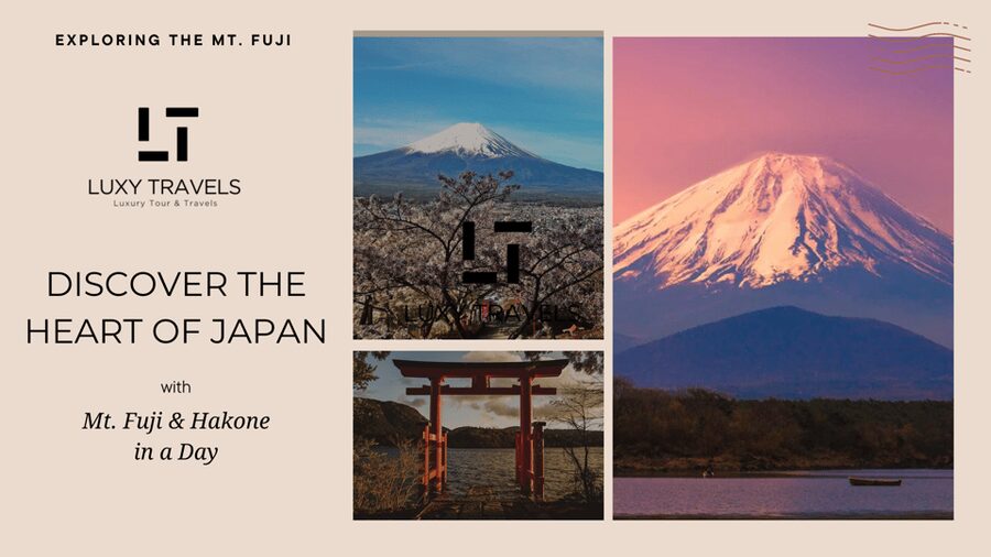 Mt Fuji Sightseeing Private tour with English Speaking Guide - Lake Kawaguchi and Oishi Park