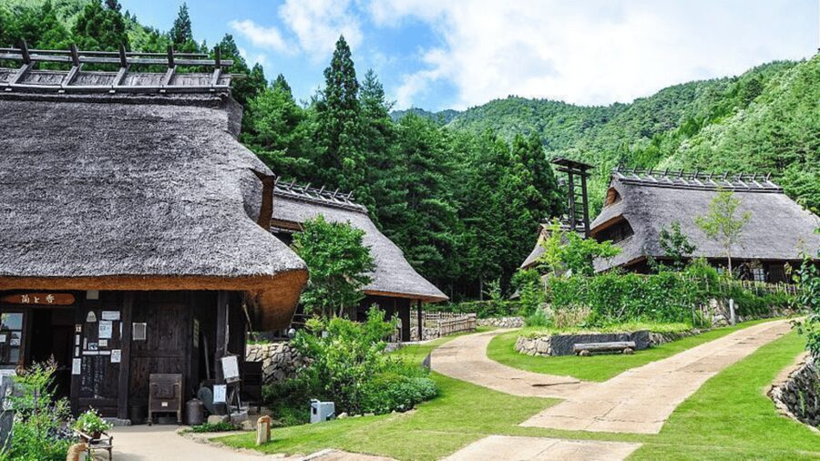 Mt Fuji Sightseeing Private tour with English Speaking Guide - Aokigahara Forest and the ice cave question