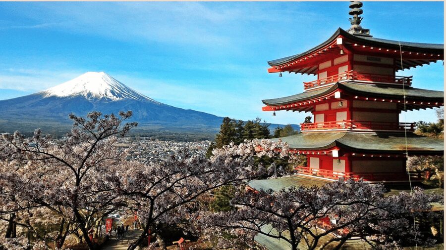 Mt Fuji Sightseeing Private tour with English Speaking Guide - What the $381 group price really buys