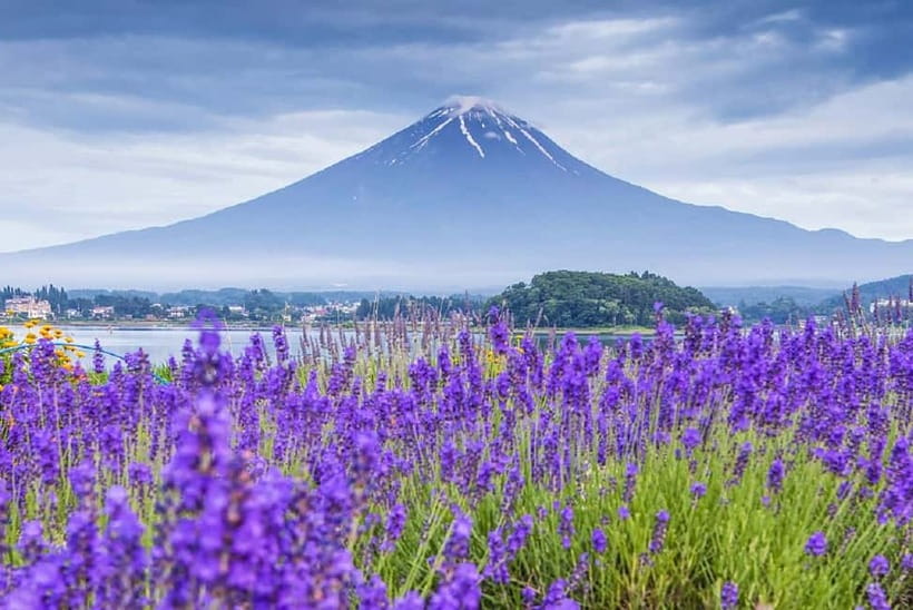 Mt Fuji Top 5 Spots Day Tour: Arakurayama Park,Oshino Hakkai - Why the day works best for first-time Fuji visitors
