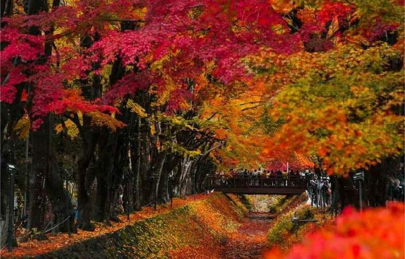 Mt Fuji Top 5 Spots Day Tour: Arakurayama Park,Oshino Hakkai - Oshino Hakkai and its eight clear springs