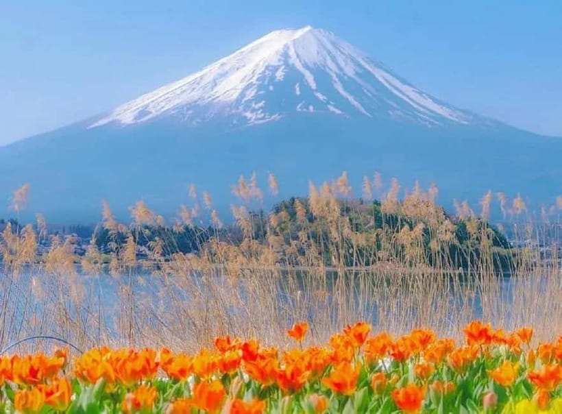 Mt Fuji Top 5 Spots Day Tour: Arakurayama Park,Oshino Hakkai - Arakurayama Sengen Park and the famous 397-step climb