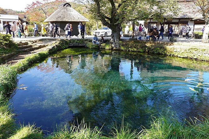 Mt. Fuji Tours with Kawaguchi Lake Ropeway View English Speaking - Oishi Park is a short stop with seasonal appeal