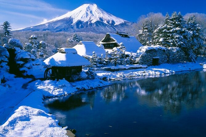 Mt. Fuji Tours with Kawaguchi Lake Ropeway View English Speaking - Traffic is the biggest threat to the schedule