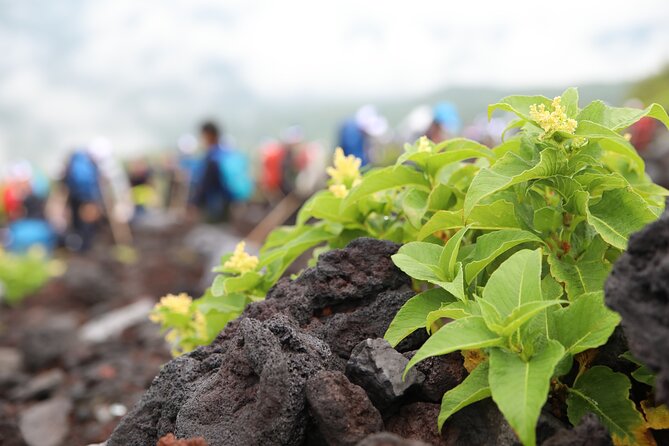 Mt.Fuji Trekking 1 Day Tour up to the summit - Guide support, equipment, and what they mean on the trail