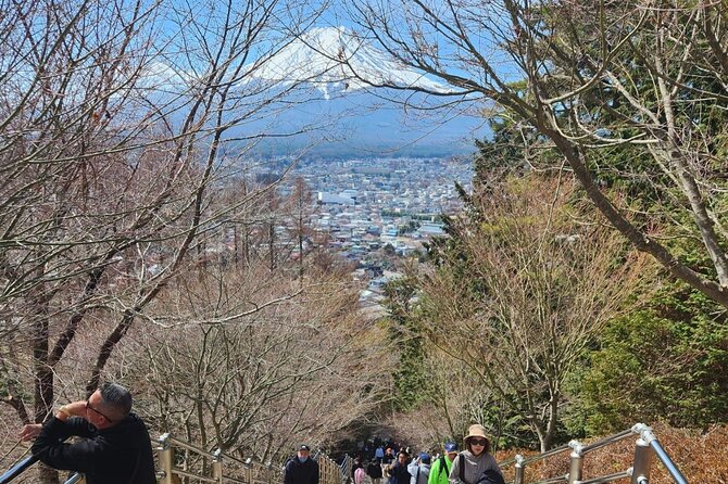 Mt.Fuji view Hakone Private tour with English speaking driver - Mishima Skywalk for wide Mount Fuji views