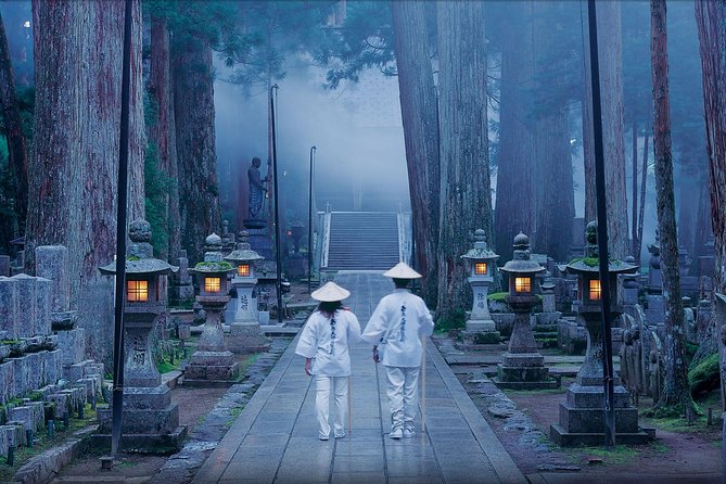 Mt. Koya Sacred Full-Day Private Tour (Osaka departure) with Licensed Guide - Five things to know before you book