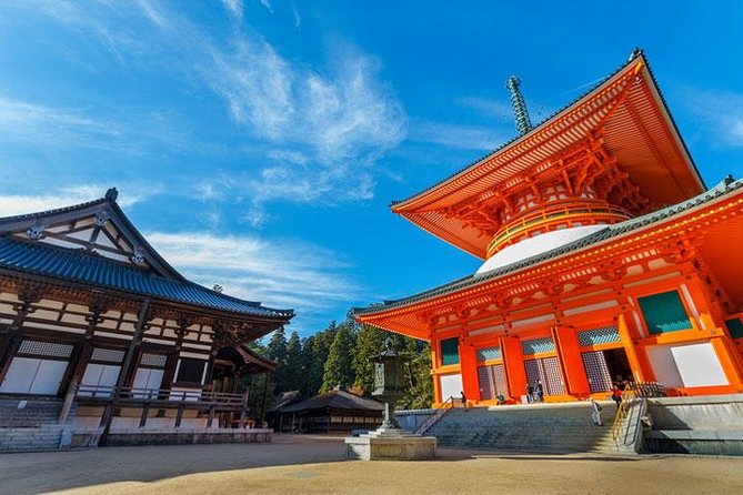 Mt. Koya Sacred Full-Day Private Tour (Osaka departure) with Licensed Guide - The Tokugawa Mausoleum and Japan’s ruling family