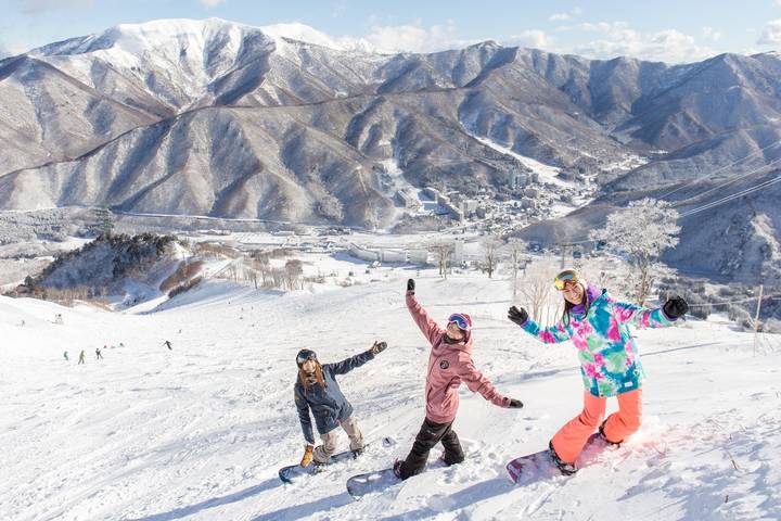 Naeba Ski Adventure 2026-27 by Tomato Travel - 8 Days Review - Tokyo first, then straight to the snow