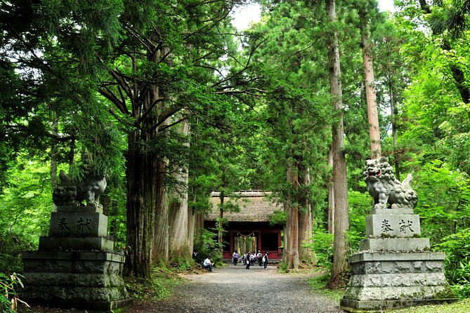 Nagano All Must-Sees 4hr Private Tour with Licensed Guide - Shrines, schools, and the Zozan bunker