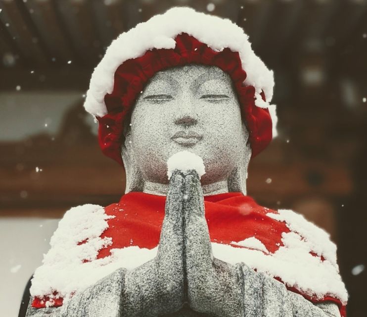 Nagano: Snow Monkeys, Zenkoji Temple & Sake Day Trip - What you actually see at the snow monkey park