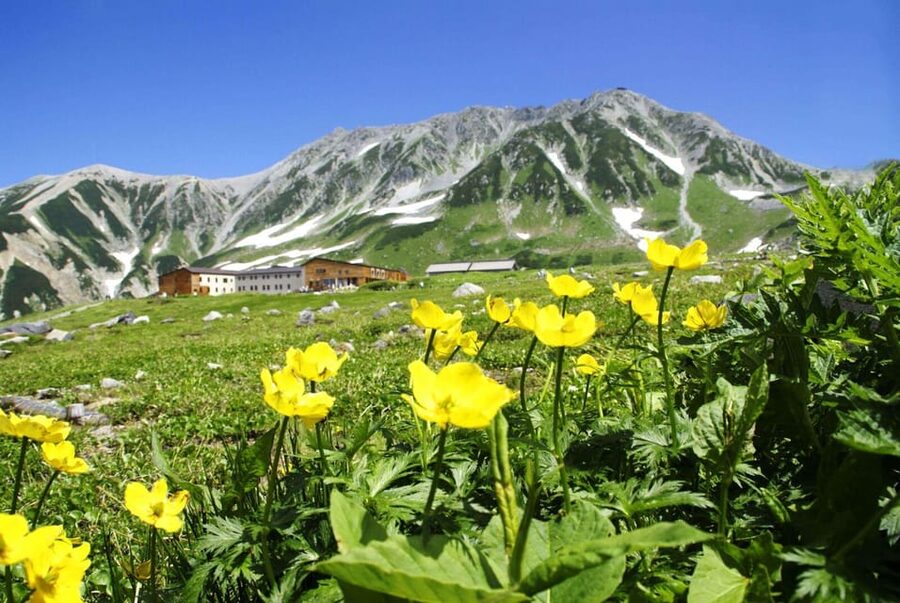 Nagano: Tateyama-Kurobe Guided Walking Tour - Ogizawa Station starts the climb
