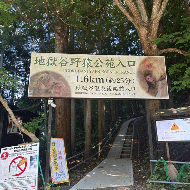 Nagano/Tokyo: Snow Monkey Private Day Tour At Lowest Rate - Six things to know before you book