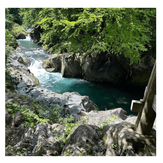 Nagano/Tokyo: Snow Monkey Private Day Tour At Lowest Rate - Food, comfort, and the small details