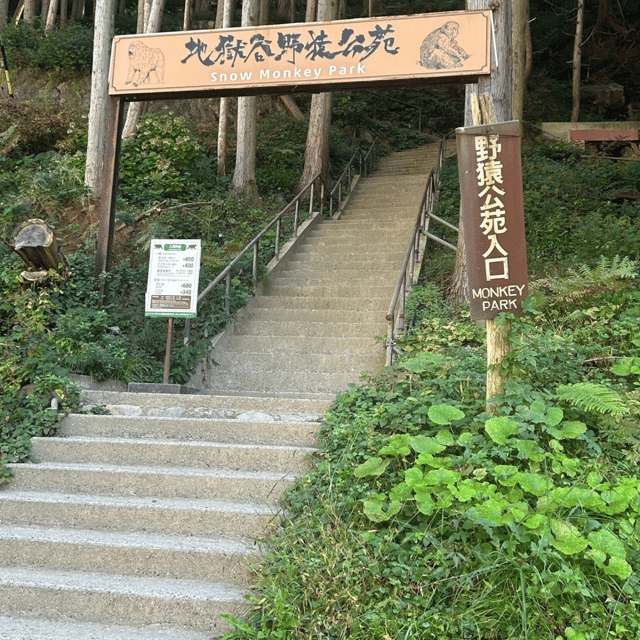 Nagano/Tokyo: Snow Monkey Private Day Tour At Lowest Rate - A private ride from Tokyo, Nagano, or Hakuba
