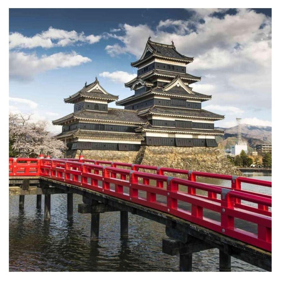 Nagano/Tokyo: Snow Monkey Private Day Tour At Lowest Rate - Matsumoto Castle is impressive, but far from the monkeys