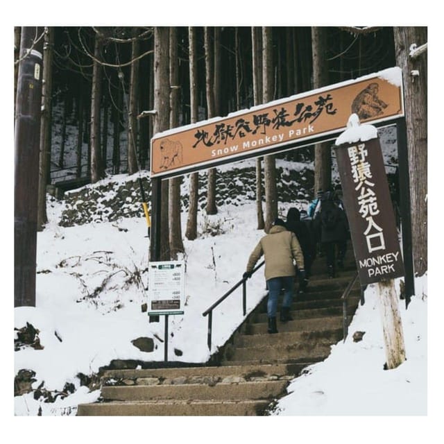 Nagano Tokyo: Snow Monkey Private Day Tour Hotel Pick & Drop - Key points at a glance