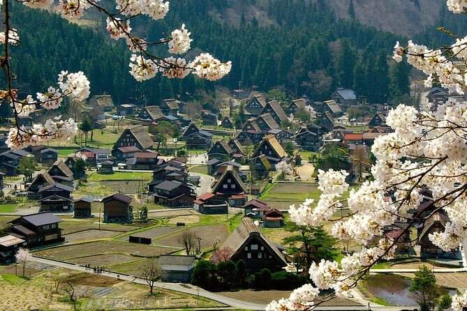 Nagoya: 2026 Hida Takayama Shirakawa-go Light-up Winter Tour - Two hours among Shirakawa-go’s gassho farmhouses