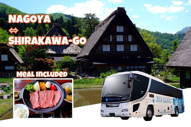 Nagoya: all-inclusive car tour to Korankei valley - Asuke Castle adds a climb and a wider view