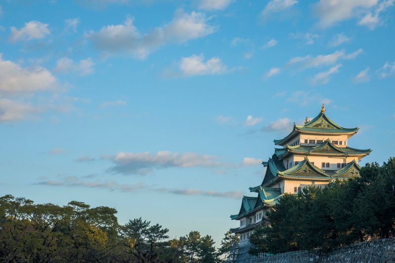 Nagoya Castle Ticket - See the golden shachi and the keep from outside