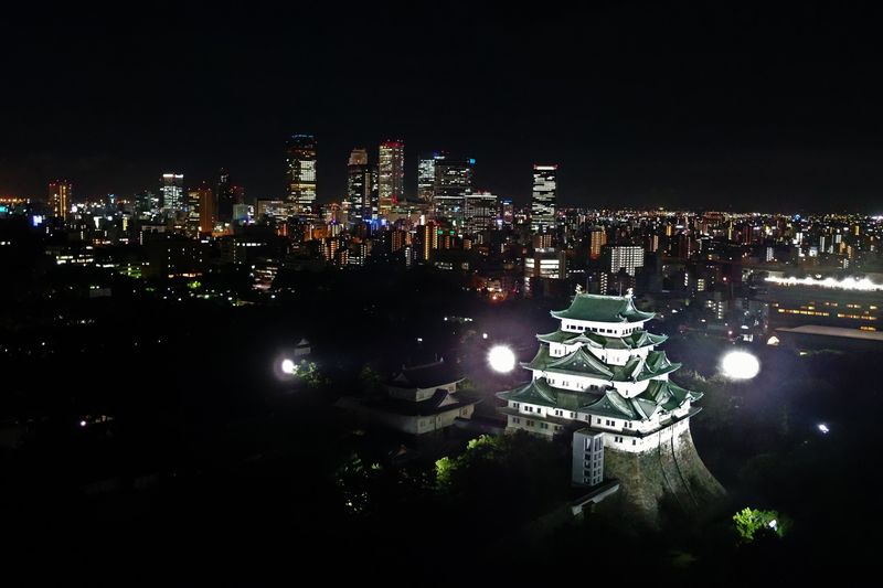 Nagoya Castle Ticket - Walk the grounds for changing views