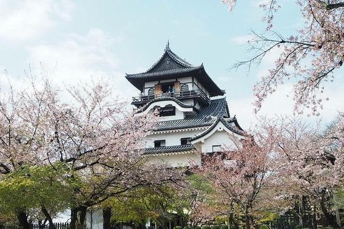 Nagoya Half-day Private Custom Tour with National Licensed Guide - Osu, Shikemichi, and smaller local stops