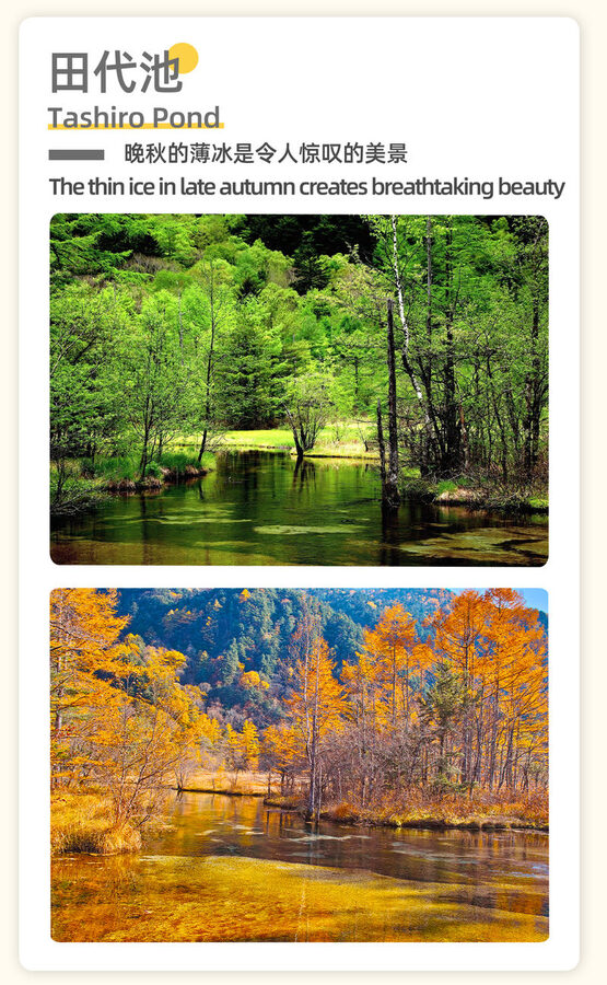 [Nagoya Kamikochi Hiking Tour] One-Day Nature Forest Hiking Tour of Kamikochi & Taisho Pond & Tashiro Pond & Kappa Bridge & Myojin Pond & Hotaka Mountain Range & Hotaka Shrine Okumiya (Departure from Nagoya) - Is the price worth it?