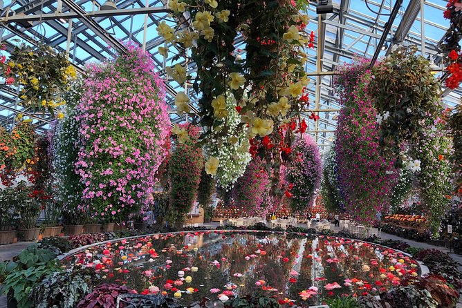 Nagoya : Private Nabana no Sato Tour : Illuminations & Shopping - Who will enjoy this tour most