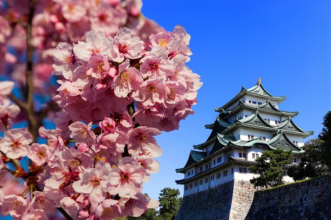 Nagoya Private Tour with a Local: Highlights & Hidden Gems - Sky Promenade for a quick city overview