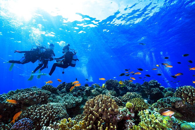 Naha: Full-Day Introductory diving & Snorkeling in the Kerama Islands, Okinawa - Safety, fitness, and health checks