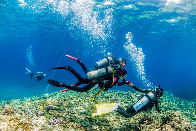 Naha: Full-Day Introductory diving & Snorkeling in the Kerama Islands, Okinawa - The crew and the feel of the day