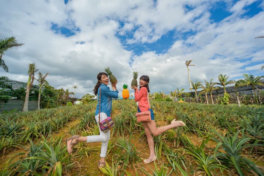 Naha: North Okinawa Sightseeing Tour & Churaumi Aquarium - Key points to know before booking