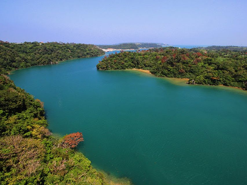Naha: North Okinawa Sightseeing Tour & Churaumi Aquarium - Nago Pineapple Park and its pineapple cart